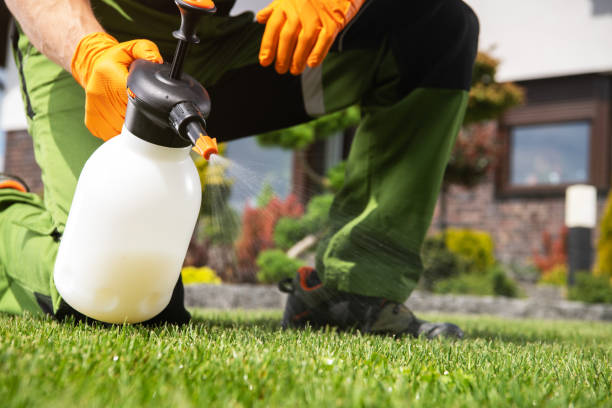 Best Residential Pest Control  in Millen, GA