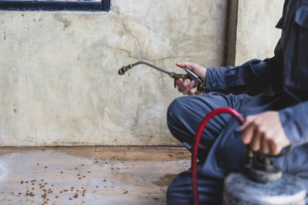 Professional Pest Control in Millen, GA