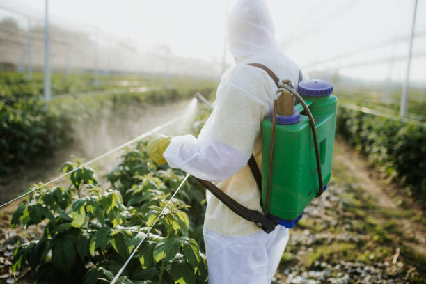 Best Pest Control Near Me  in Millen, GA